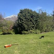 Living the dream🎵🐈🏔️