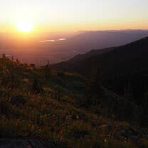 View from a hike