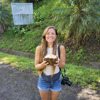 Roadside Coconut Stop