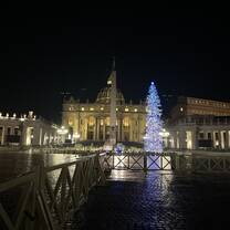Christmas tree at the Vatican