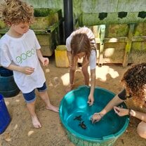 taking care of baby sea turtles