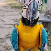 My friend