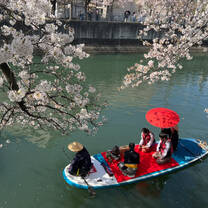 Spring in Japan