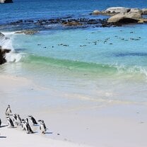 Boulders Beach