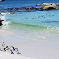 Boulders Beach