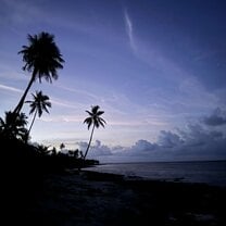 The unreal beauty from Saona Island