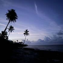 The unreal beauty from Saona Island