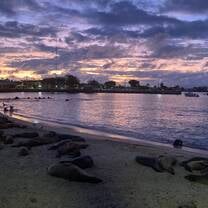 Sea lions at sunset at Puerto Baquerizo Moreno