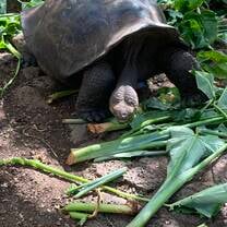 Feeding time