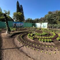 Maya spiral gardens