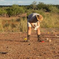 looking at some tracks