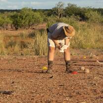 looking at some tracks