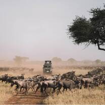 Serengeti National Park 