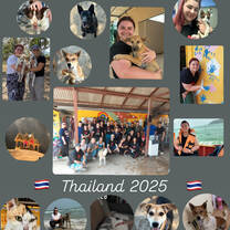 Collage of some photos from the trip