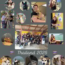 Collage of some photos from the trip