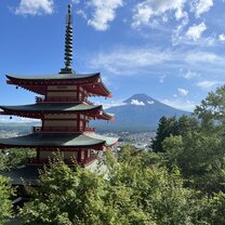 Temple attraction