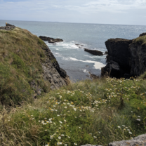 Gorgeous trip to the coast