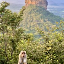 View of lions rock in add on experience 
