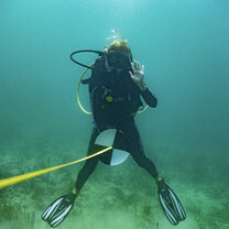 Monitoring Corals! 