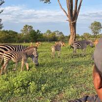 Game drive