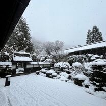 Charming snowy environment