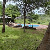 Pool and yard