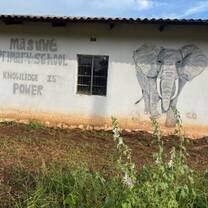 Masue school