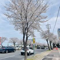 Scenary
