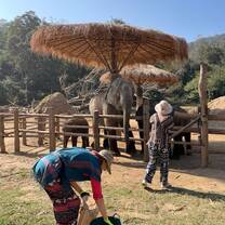 at the elephant center