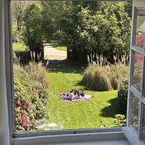 Picnic in the yard 