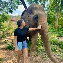 Elephants in Thailand!!