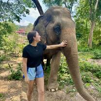 Elephants in Thailand!!