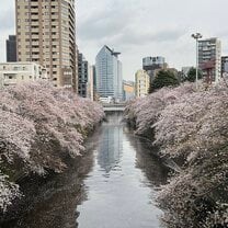 Meguro River