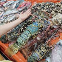 lobsters in Sabah with very nice price