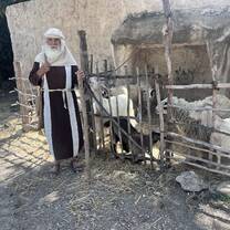 Me shepherding 