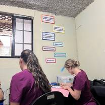 Volunteering in the clinic!