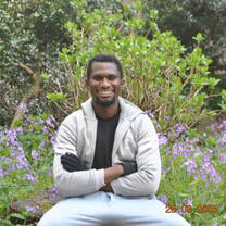 The National Gyoen Garden in Shinjiku