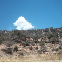 Jujuy's mountains 