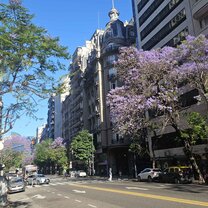Buenos Aires during spring