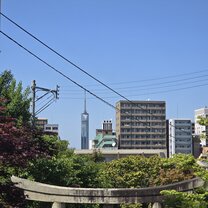 nice view on Fukuoka Tower