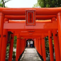 A cool photo from a temple with red torii gates.