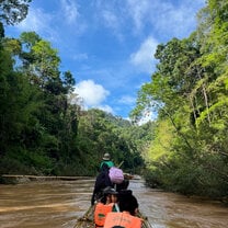 Bamboo rafting down the river in the jungle