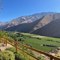 Pisco Elqui