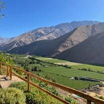 Pisco Elqui
