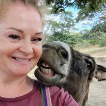 Bliss the donkey