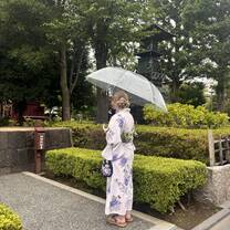 Yukatas in the rain 