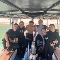 Whale shark dive