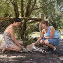 This was at Caversham Wildlife Park in WA, also worth the drive and my program gave us free tickets!