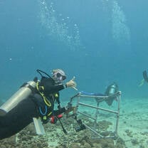 Benthic survey !!