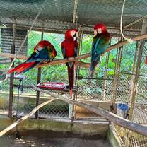 Small insight into the animal enclosures!